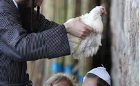 MK Peretz Calls to Replace Kaparot Chickens with Money