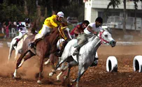 MK Uri Orbach: Horse Racing Cruel to Animals 