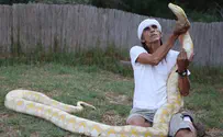 Giant Snake Bites 70-Year-Old Man