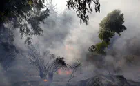 Weather or Terror? Tens of Fires Blaze Through Israel