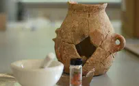 8,000-Year-Old Olive Oil Discovered in Galilee