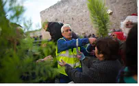 Jerusalem Municipality Hands Out Free Christmas Trees