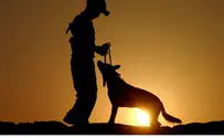 Soldiers in Dog Video to Be Disciplined