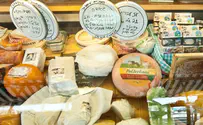 Ahead of Shavuot: Rabbanut Warns Against False Kashrut on Cheese