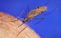 First case of Zika virus hits US