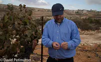 Tasting the delicious wines of ancient Bet El