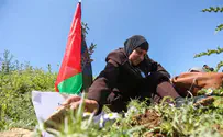 'Terrorist garden' in Jerusalem destroyed