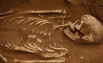Ancient bones cast new light on Goliath's people