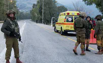 Suspected infiltrator shot on Israel-Lebanon border in the Golan