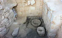 1500 year old stables discovered at Ovdat National Park