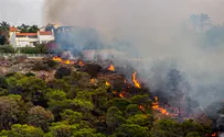 Shin Bet investigates cause of wildfires