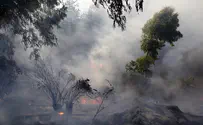 Fires engulf Chile's forests 