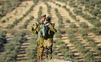 Israeli government to take on Arab land grabs in Judea, Samaria