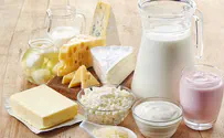 Israel exporting more dairy products