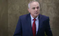 Steinitz: We have ties with 'many' Arab states