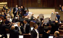 'Arab MKs only care about the made-up Palestinian people'