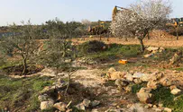 Rare archeology collateral damage of Netiv Ha'avot destruction