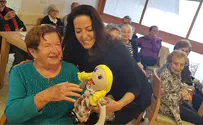 Holocaust survivors' dolls brought back to life