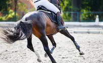 Israeli equestrian forgoes world championships over Yom Kippur 