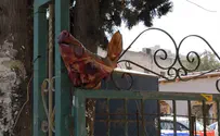 Pig's head hung on doorway of synagogue in central Israel