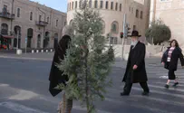 Israelis barely celebrate secular New Year, Christmas