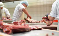 Belgian ban on kosher slaughter goes into effect