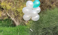 IDF believes: Hamas is responsible for incendiary balloons