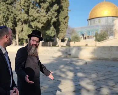 Number of Jewish visitors to Temple Mount under new govt. grows
