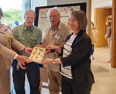 160-year-old butterfly collection returned to Israel
