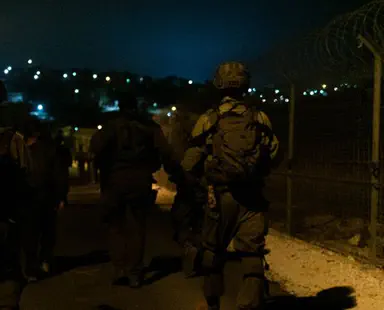 IDF forces seize large number of firearms in overnight operation