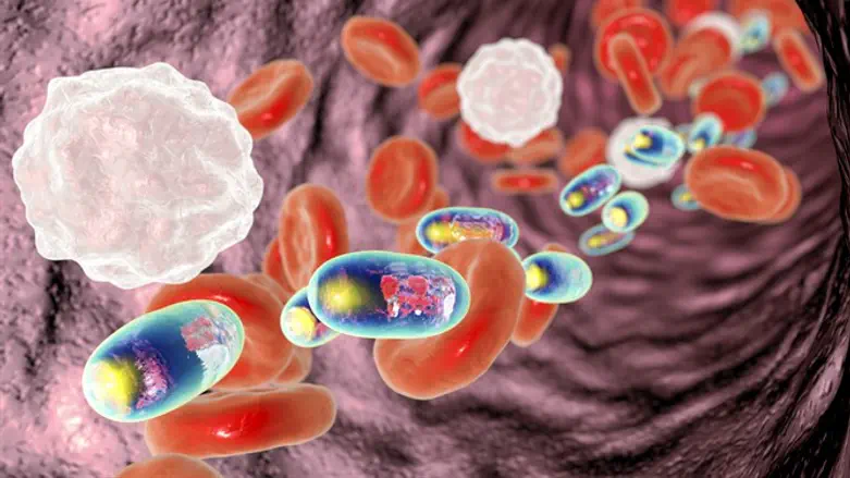 Delivery of medicines inside polymer nanoparticles