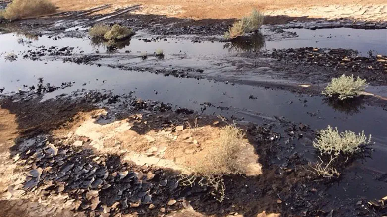 Oil spill (archive)