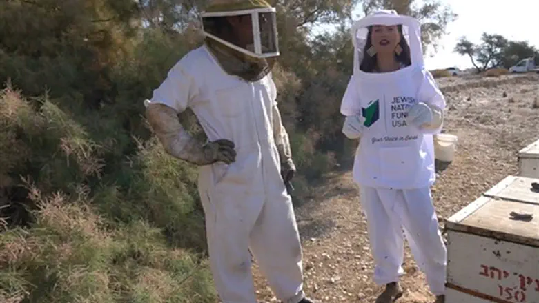 A beekeeper in Israel’s Arava Desert explains why Israel's bee colonies are flou