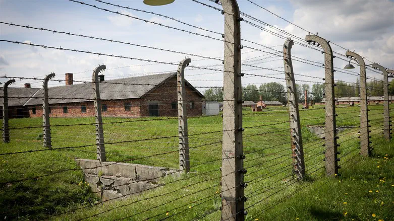 The Holocaust. Archive