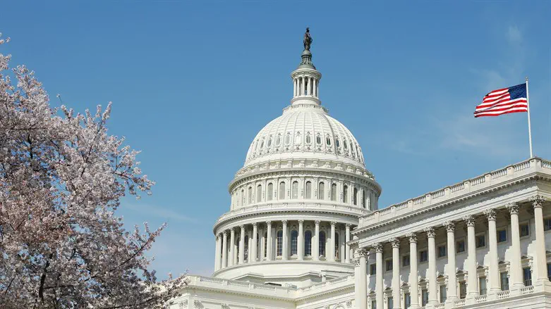 US congress