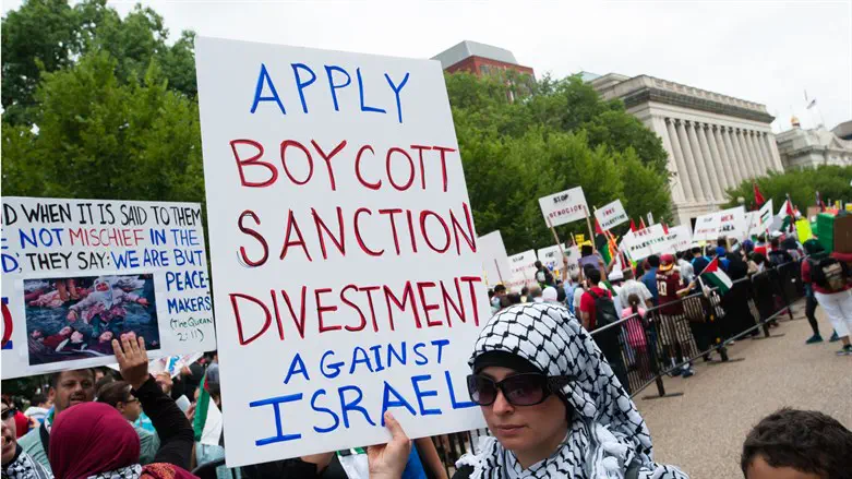 BDS activists