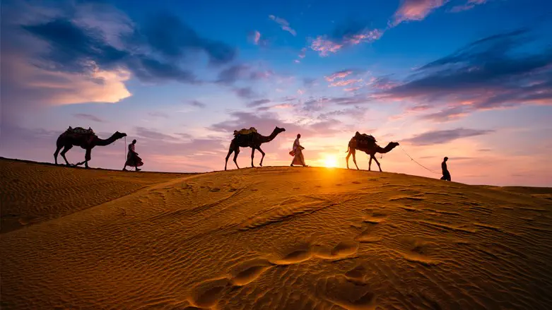 Traveling the desert
