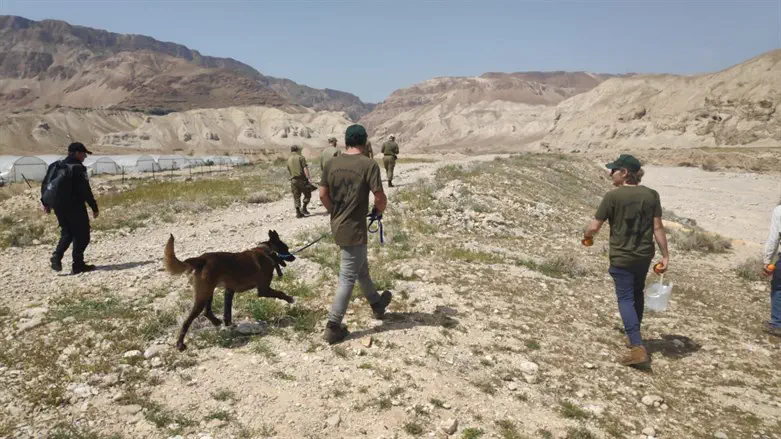 Israel Dog Unit searching in southern Israel 