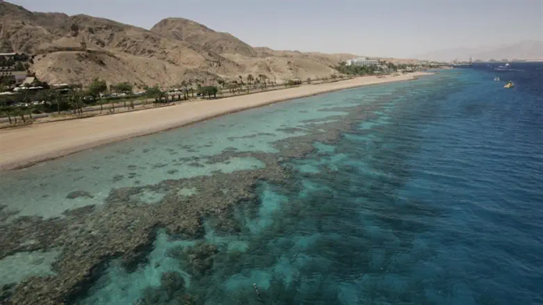 The Red Sea