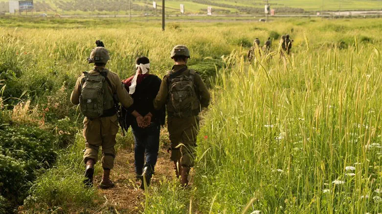 Arresting terrorist