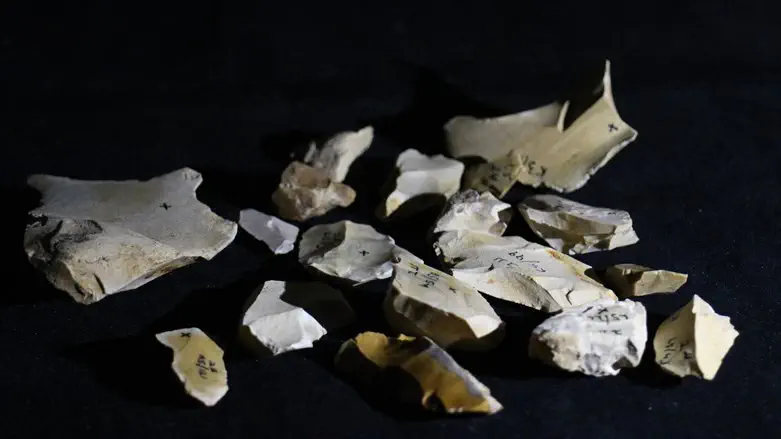 Flint tools found at the Evron Quarry. 