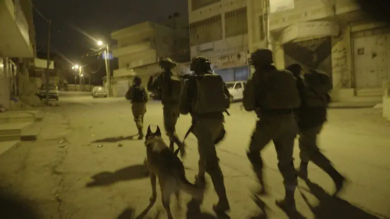 IDF forces