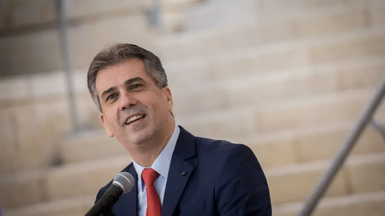 Eli Cohen