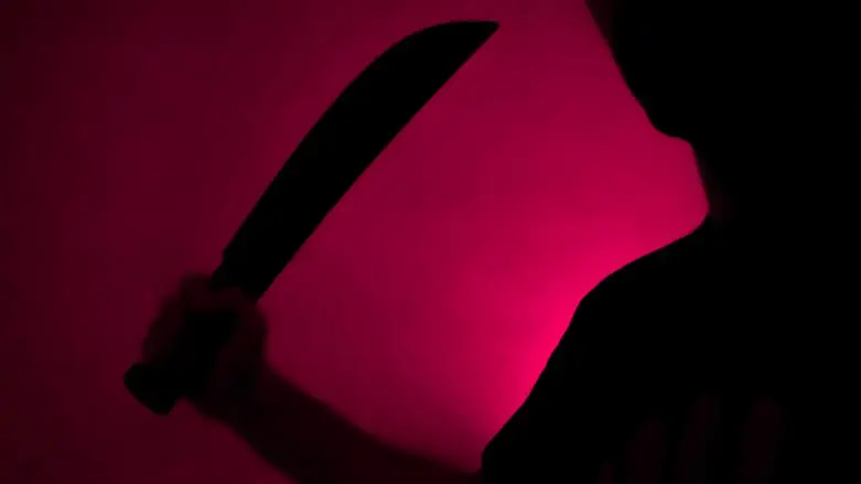 Machete (illustrative)