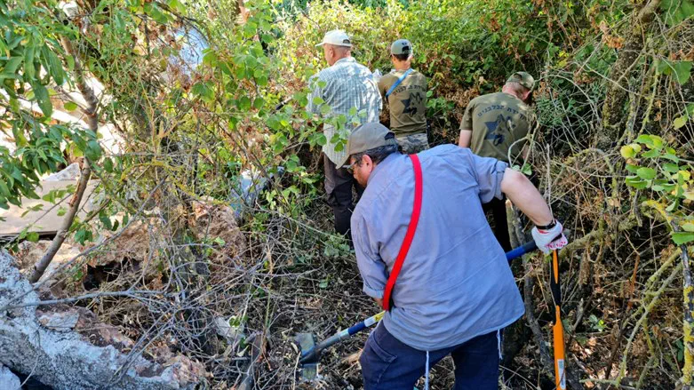 IDU volunteers clear a path into areas not yet searched around Meron