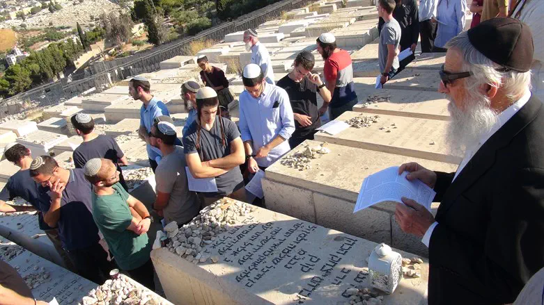 Rabbi Zalman Melamed and and students at Rav Kook's grave