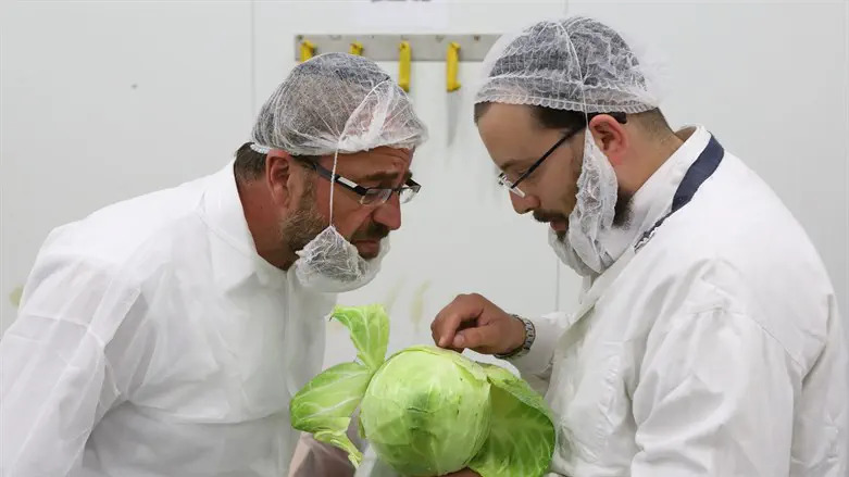 Kashrut supervisors