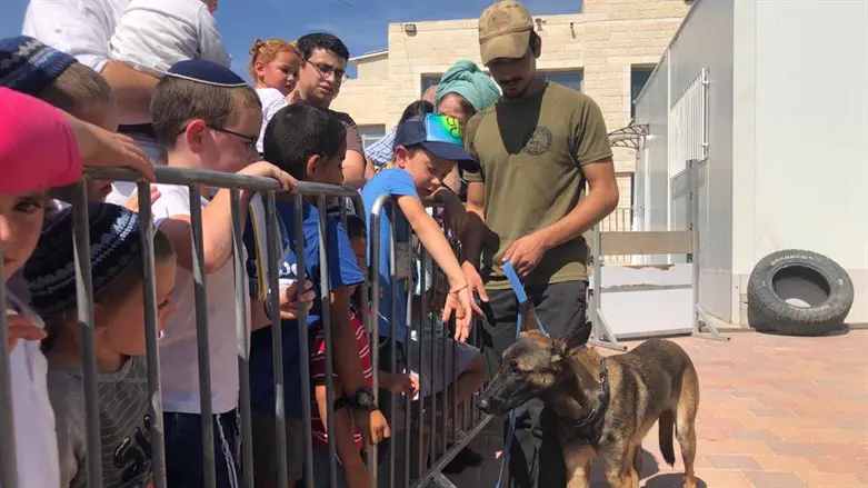 Israel Dog Unit Sukkot exhibition
