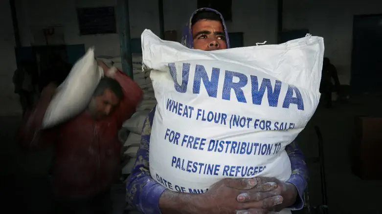 "Palestinian refugees" get food hand-outs from UNRWA in Gaza