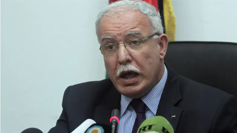 Riyad al-Malki